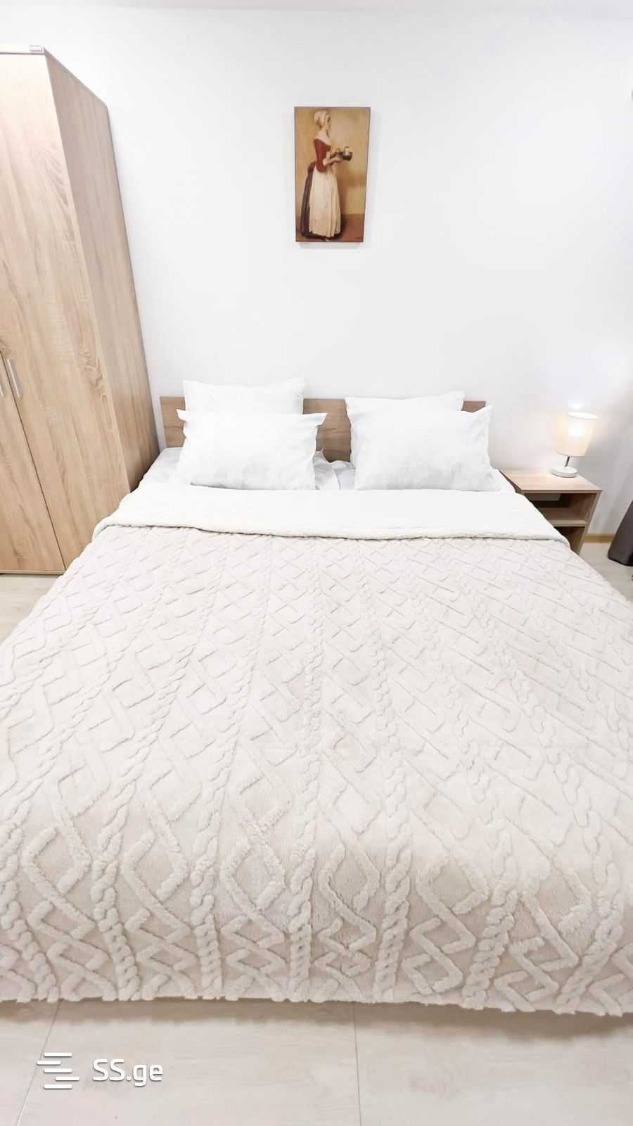 1 Room Flat Daily Rent. Vake view 8