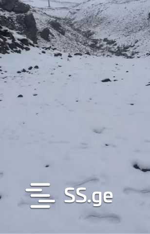 Land For Sale. Gudauri, 4 of 4