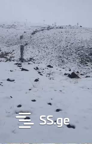 იყიდება მიწა გუდაურიში view 2