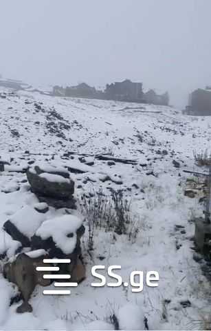 Land For Sale. Gudauri, 1 of 4