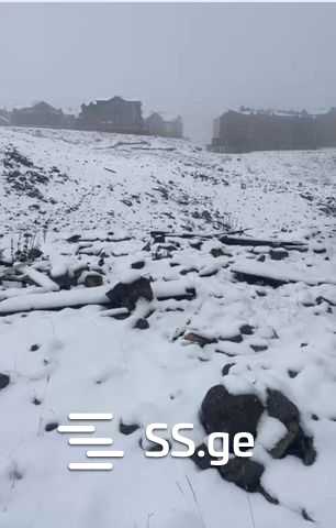 Land For Sale. Gudauri, 3 of 4