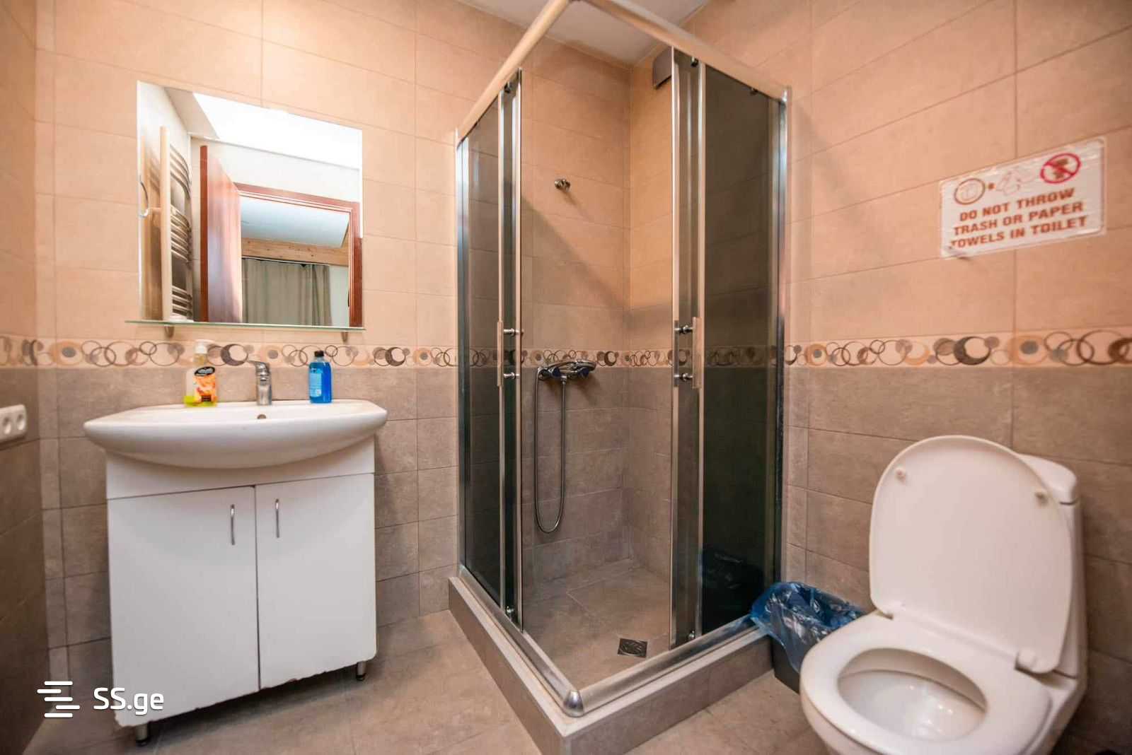 3 Room Summer Cottage Daily Rent. Bakuriani view 10