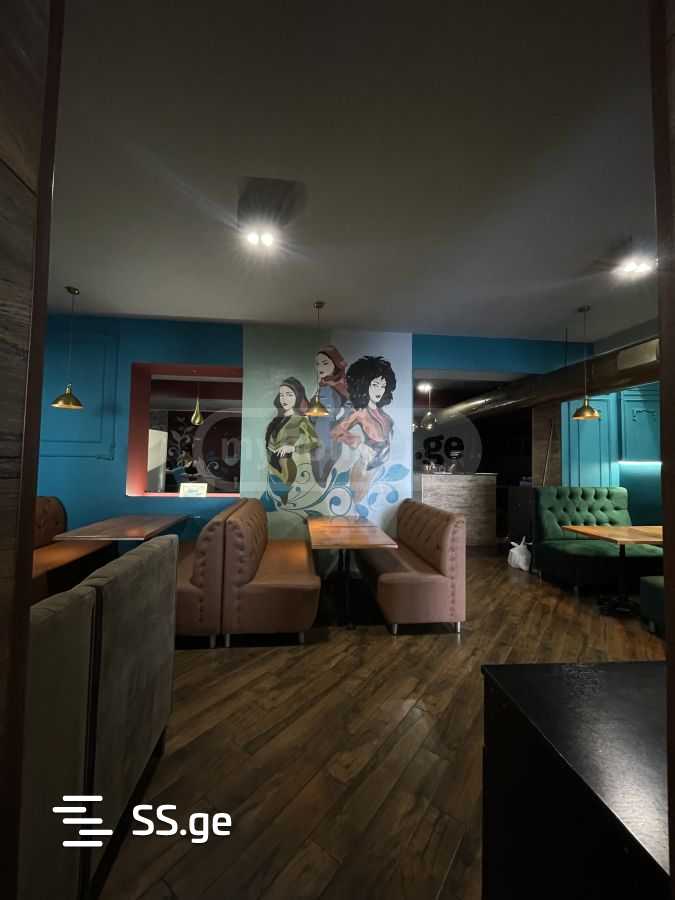 Commercial Space For Rent. Saburtalo view 6