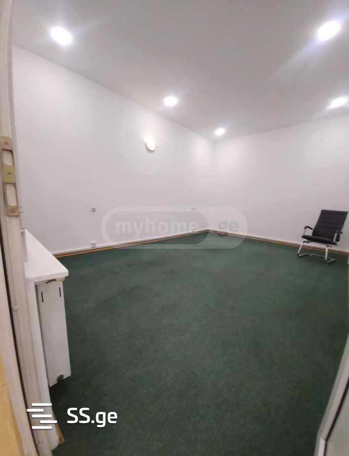 4 room Flat For Rent. Mtatsminda - Fler