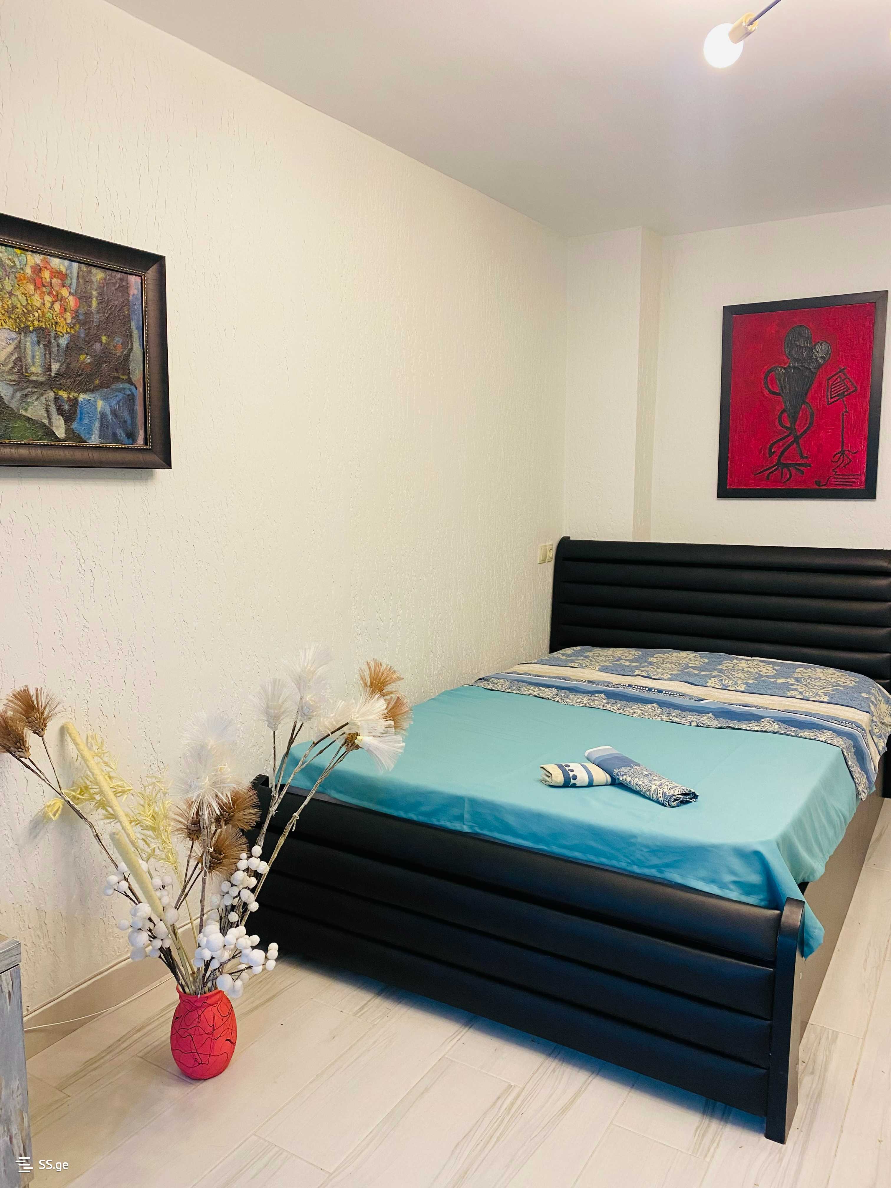 2 room Flat Daily rent. Vake, Tbilisi