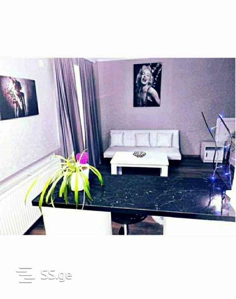 1 Room Flat Daily Rent. Saburtalo view 4