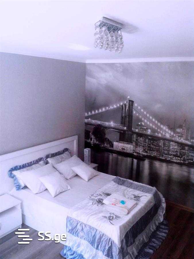 1 Room Flat Daily Rent. Saburtalo view 8