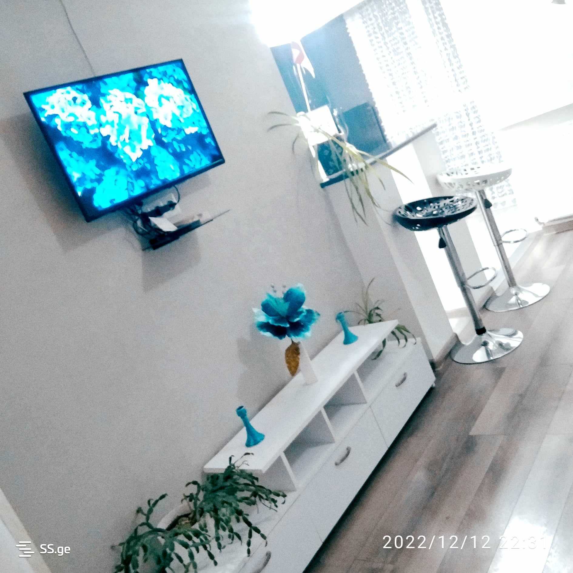 1 Room Flat Daily Rent. Saburtalo view 2