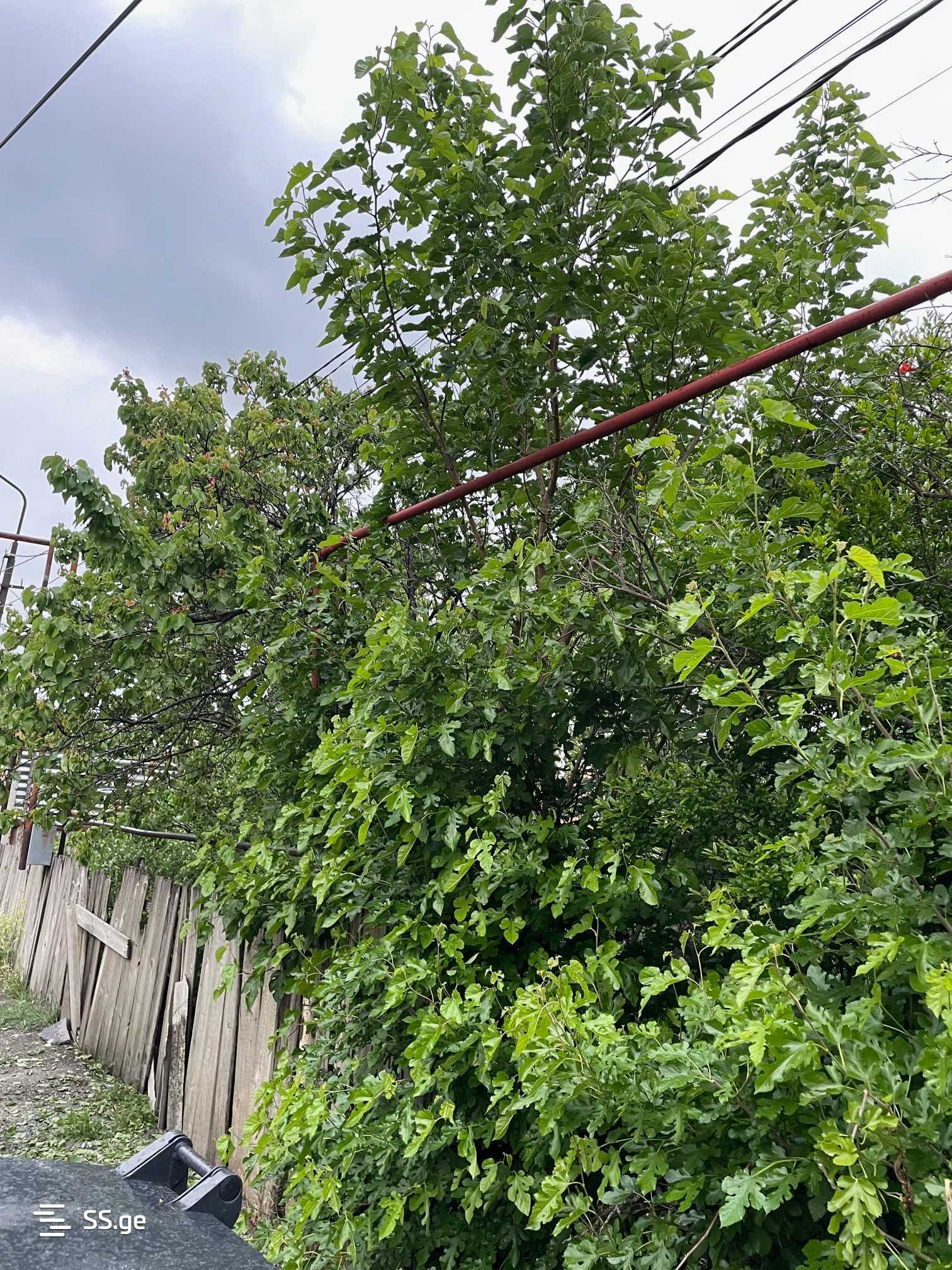 Land For Sale. Mtskheta, 2 of 4
