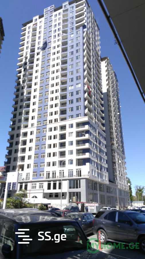 1 Room Flat Daily Rent. Batumi view 3
