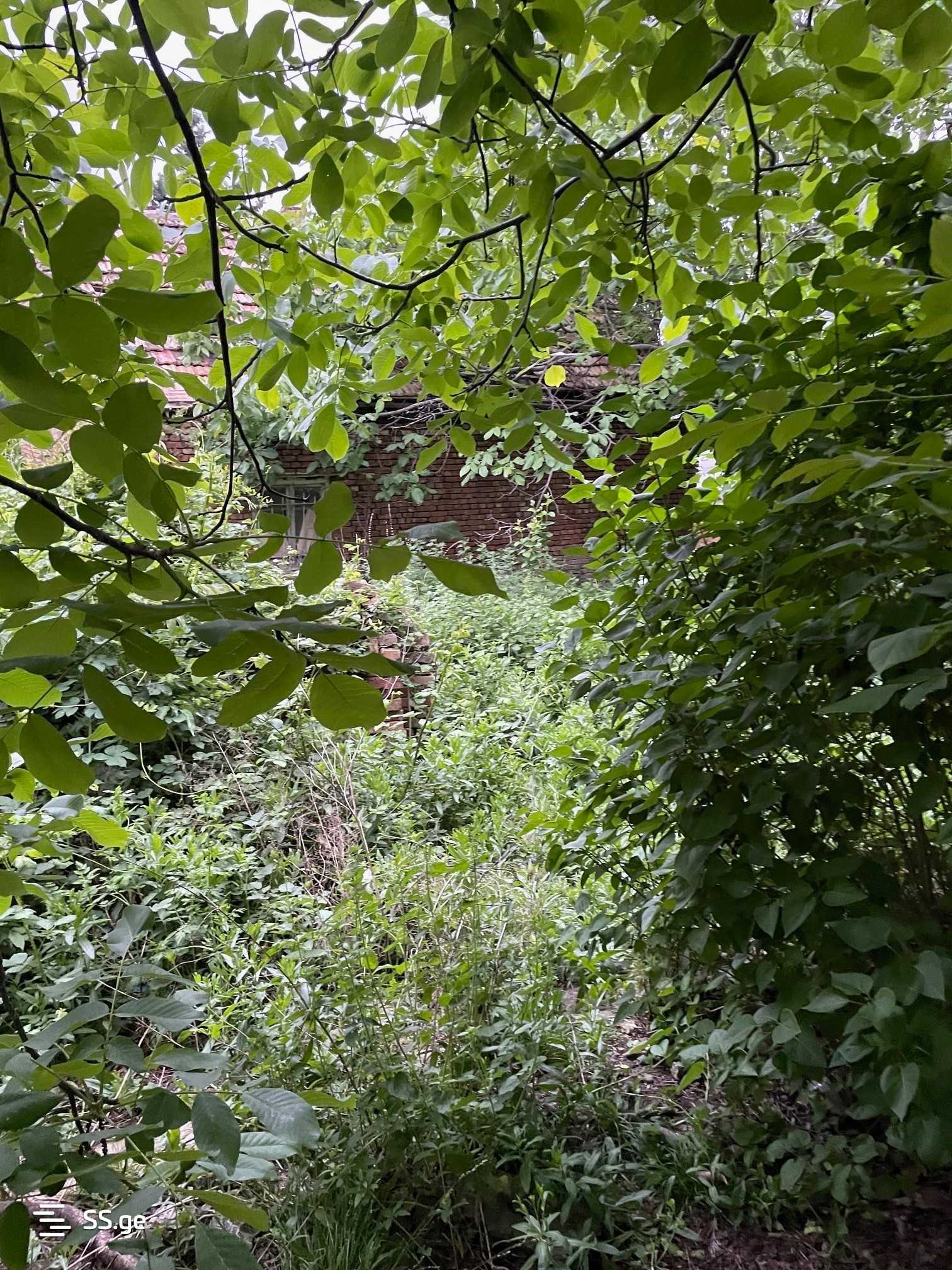 Land For Sale. Mtskheta, 4 of 4