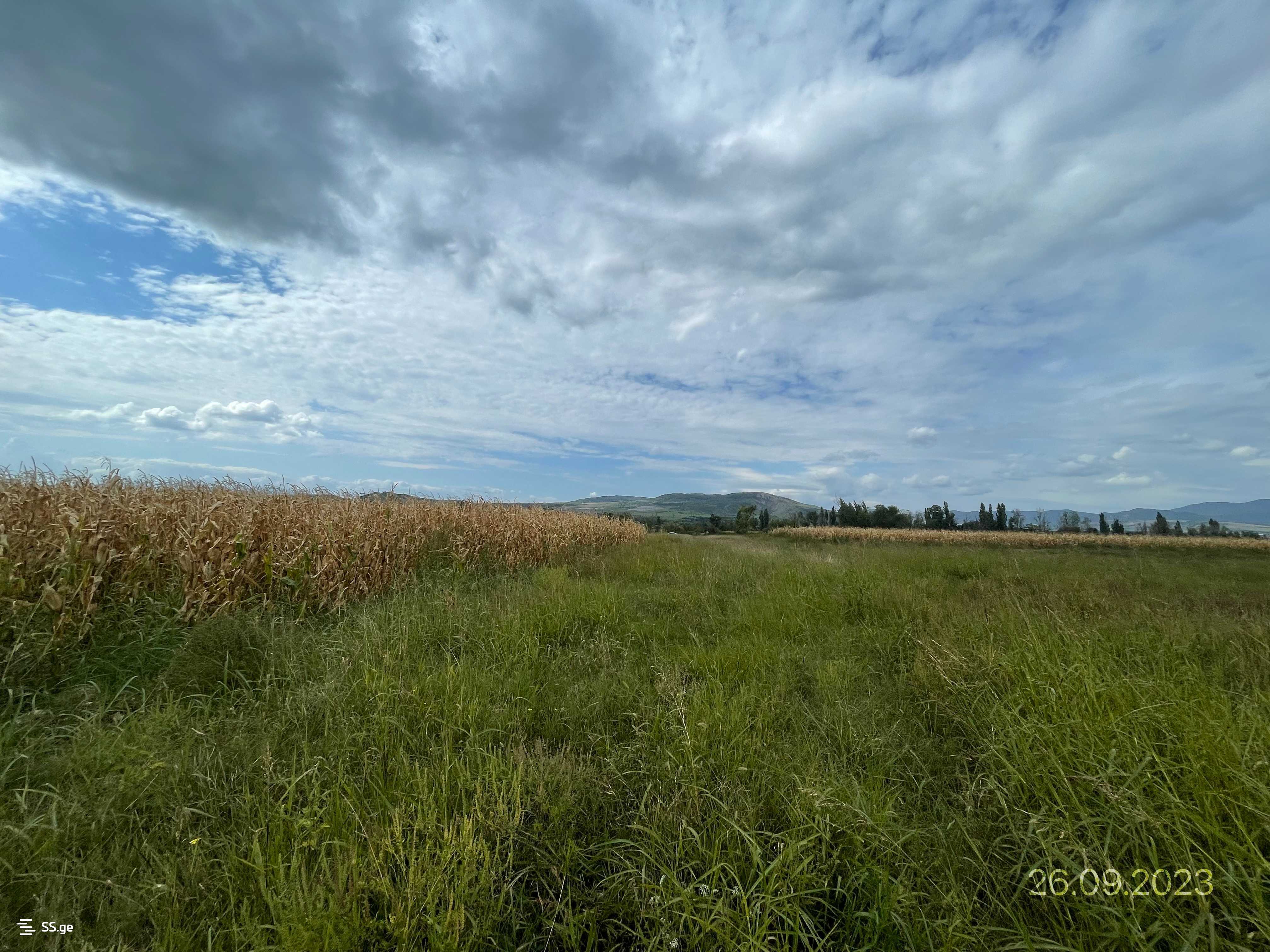 Land For Sale. Gardabani, 3 of 4