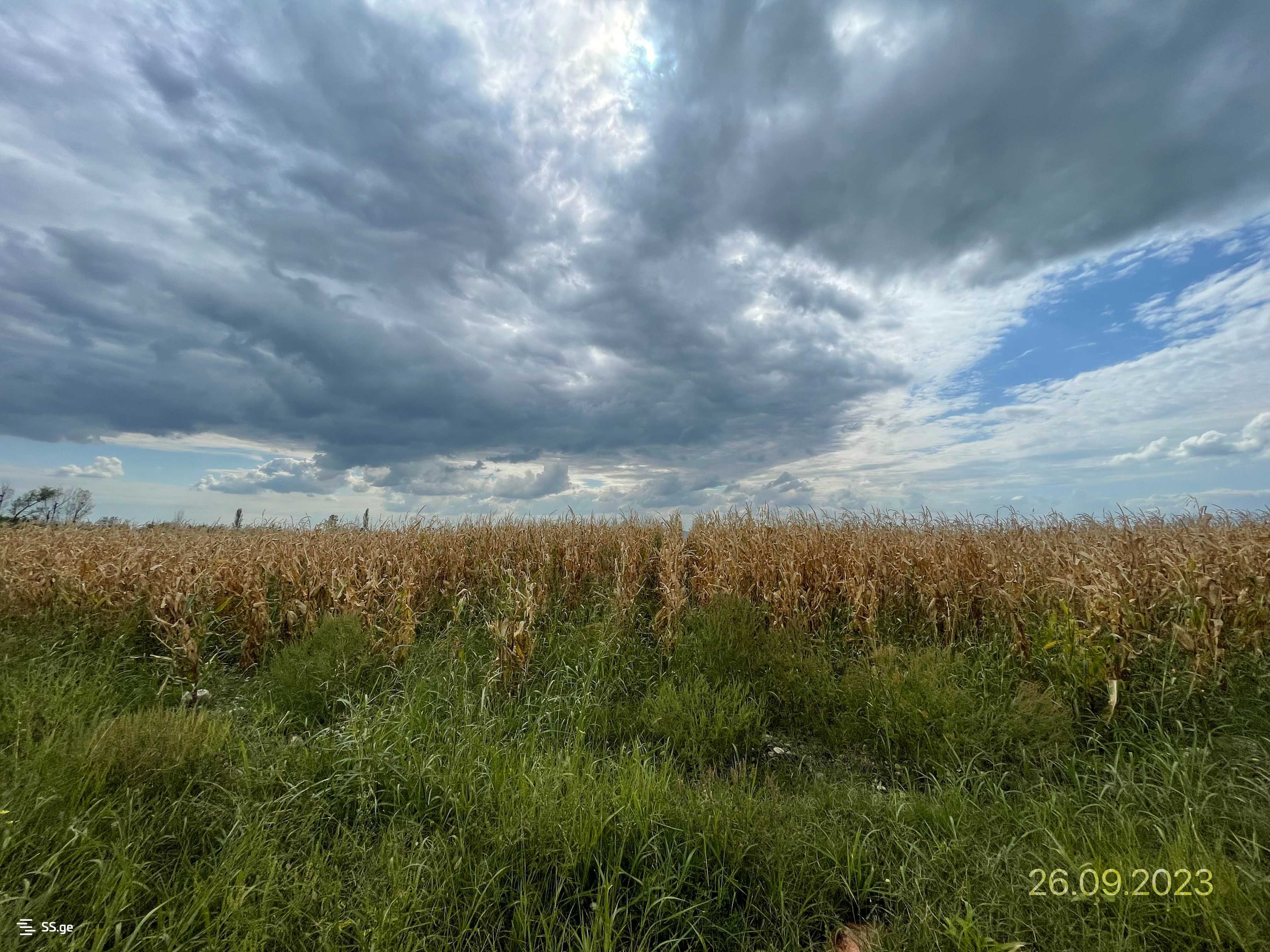 Land For Sale. Gardabani, 4 of 4