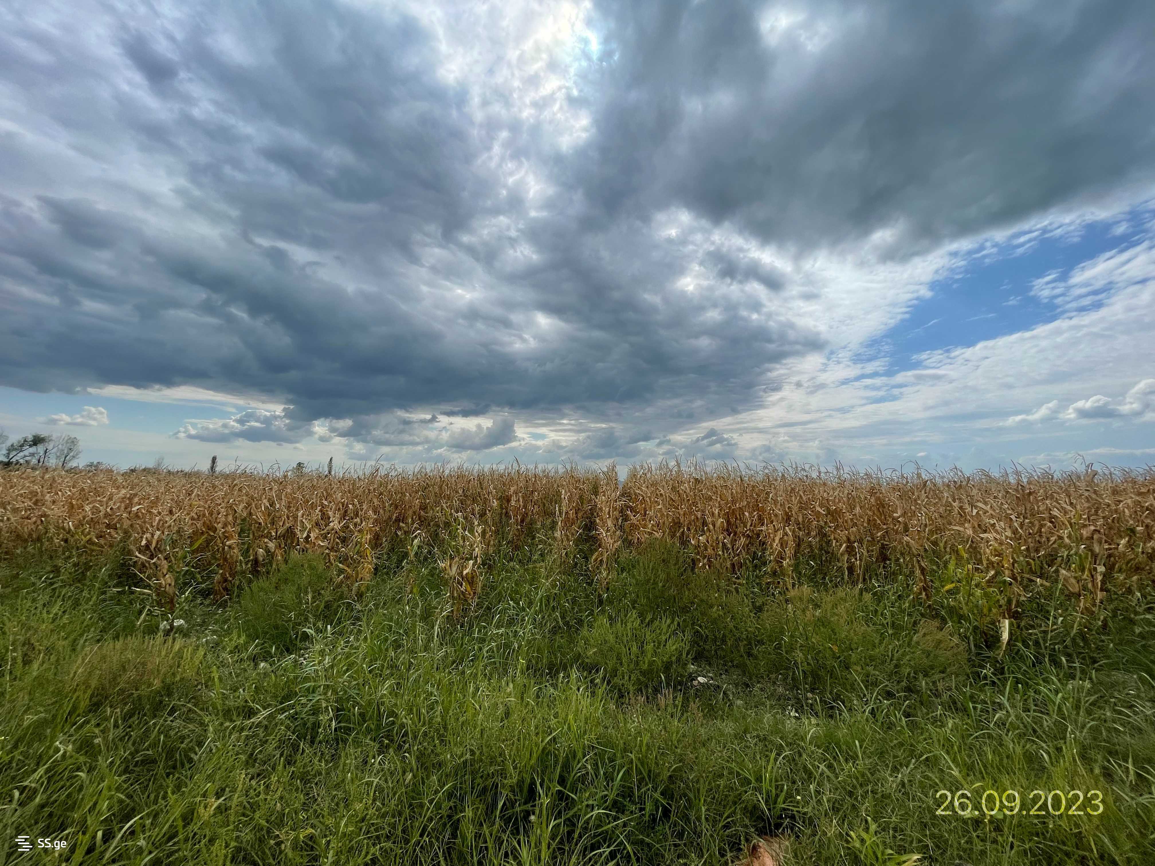 Land For Sale. Gardabani, 1 of 4