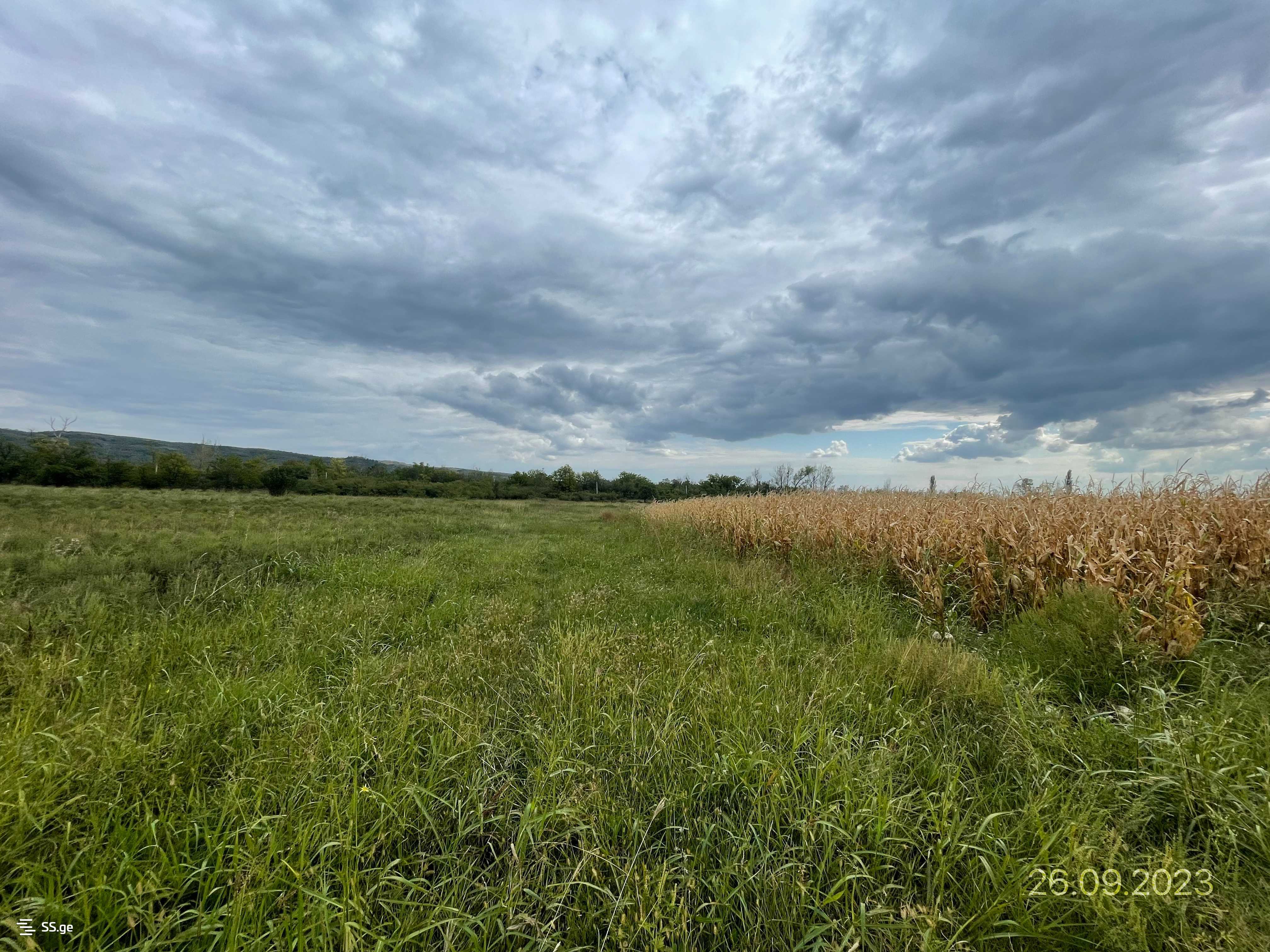 Продажа Земля в гардабани view 5