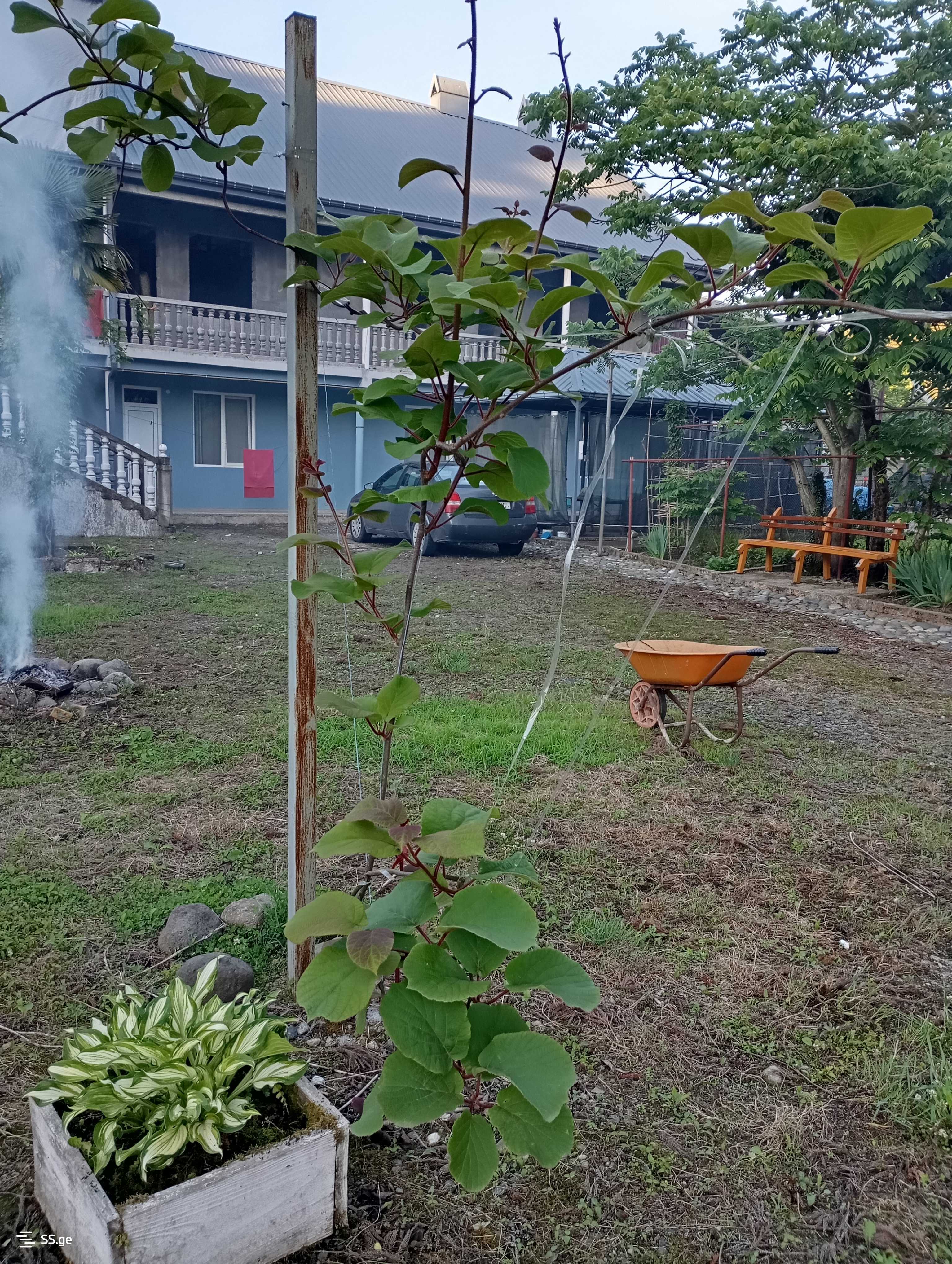 Private House For Sale. Chaqvi view 11