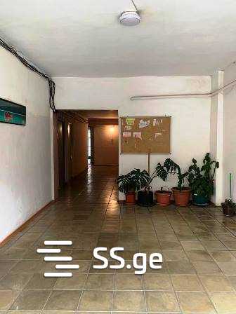 2 Room Flat For Rent. Vera view 6