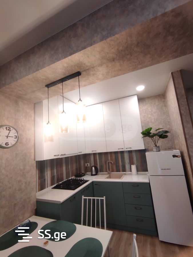2 Room Flat For Rent. Isani view 2