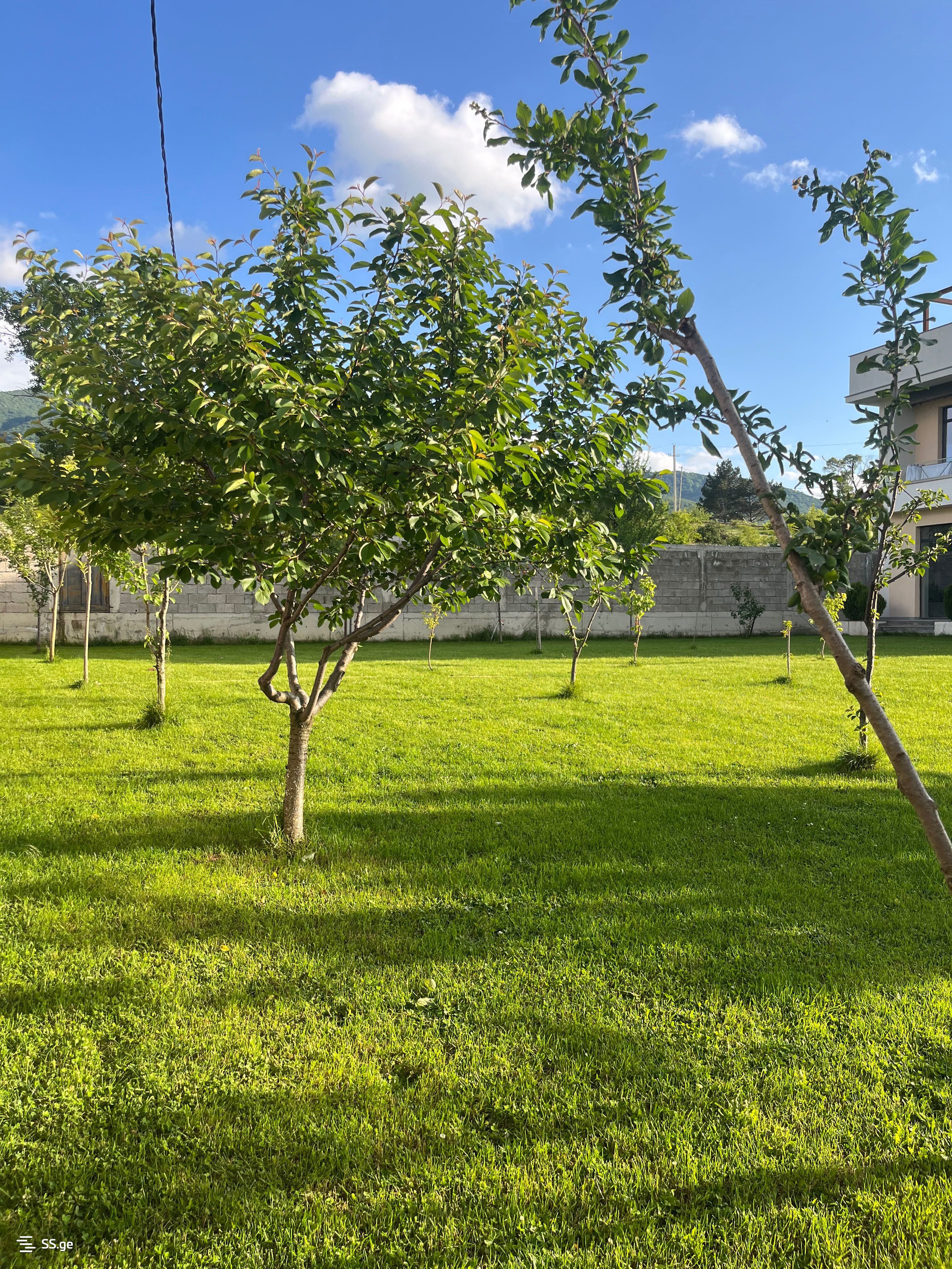 6 Room Private House For Sale view 8