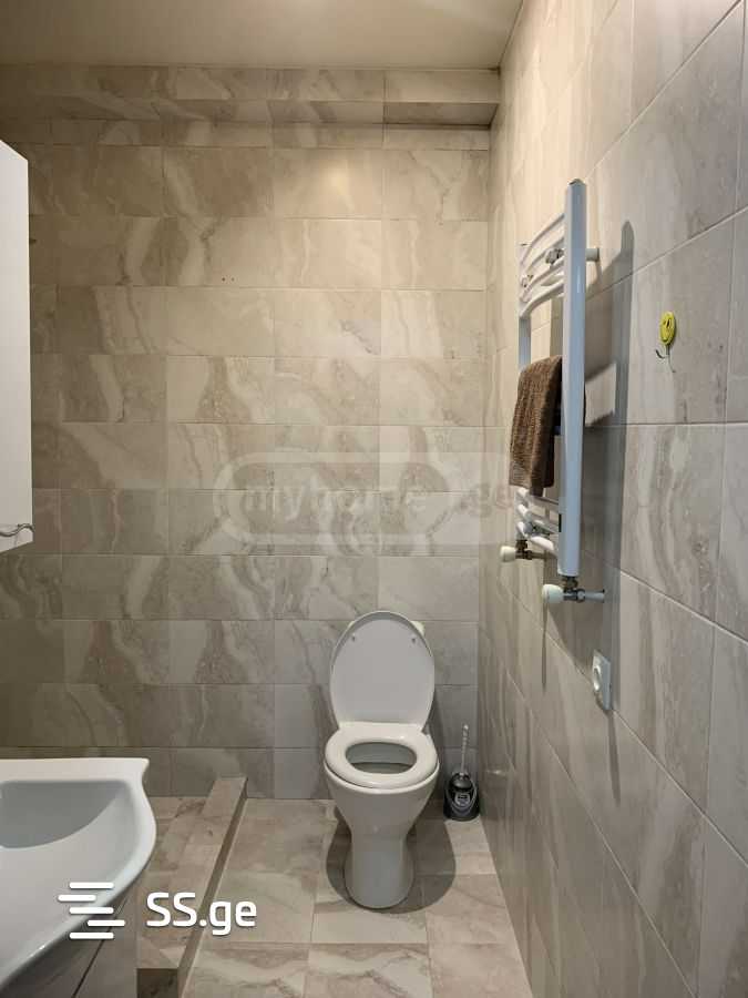 3 Room Flat For Rent. Nadzaladevi view 12