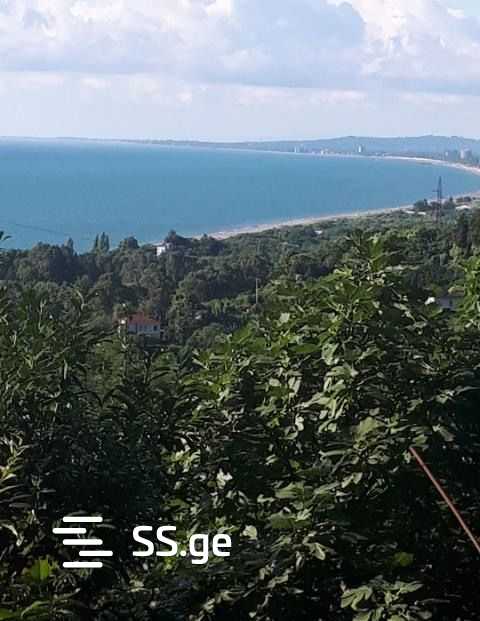 Agricultural Plot For Sale In Tsikhisdziri, In Kobuleti Municipality view 14