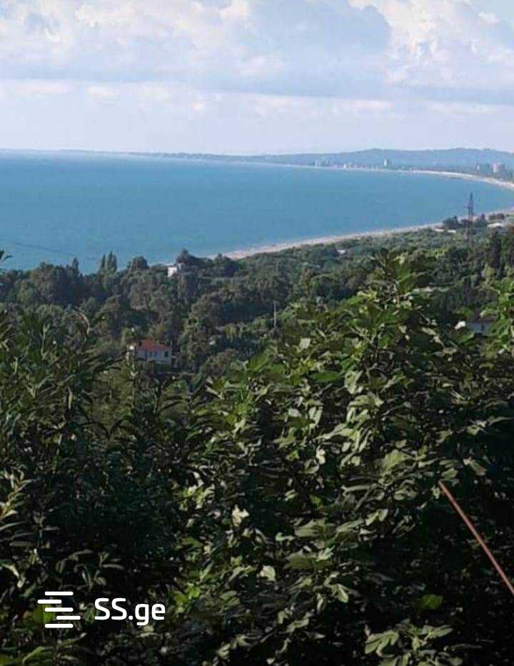 Agricultural Plot For Sale In Tsikhisdziri, In Kobuleti Municipality view 13