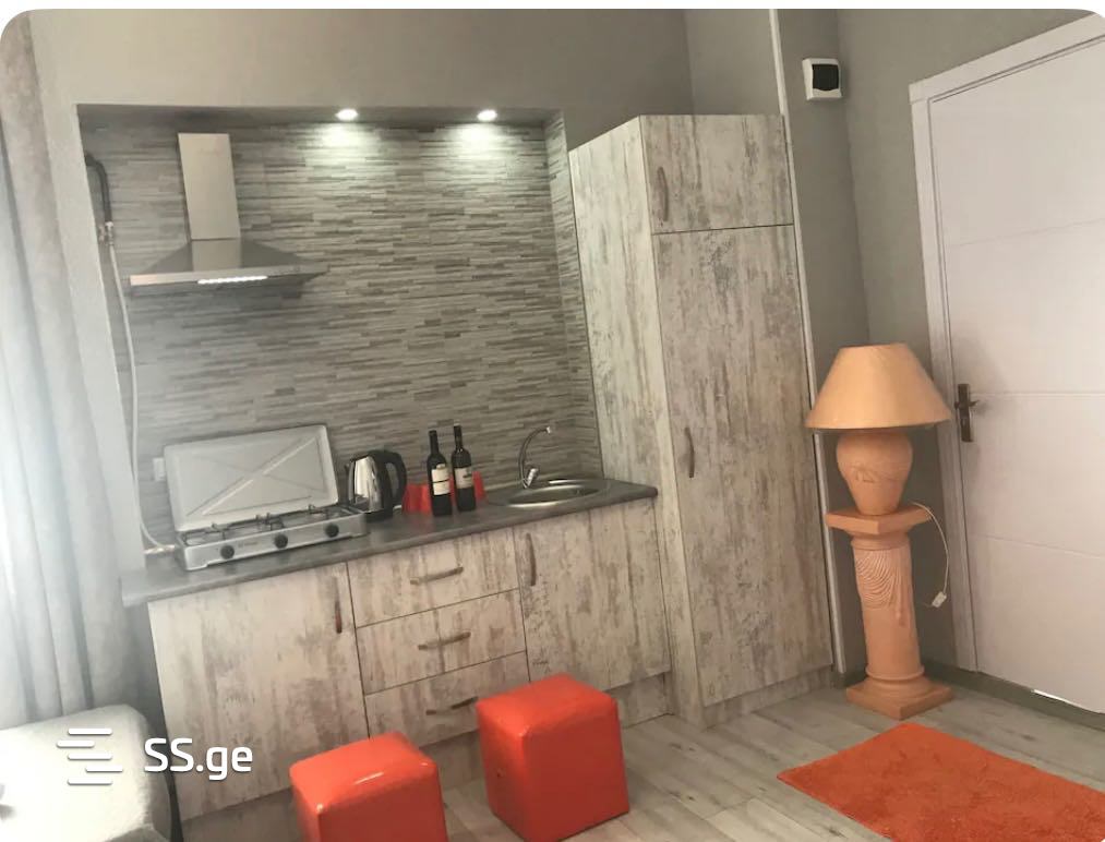 1 Room Flat Daily Rent. Chugureti view 1