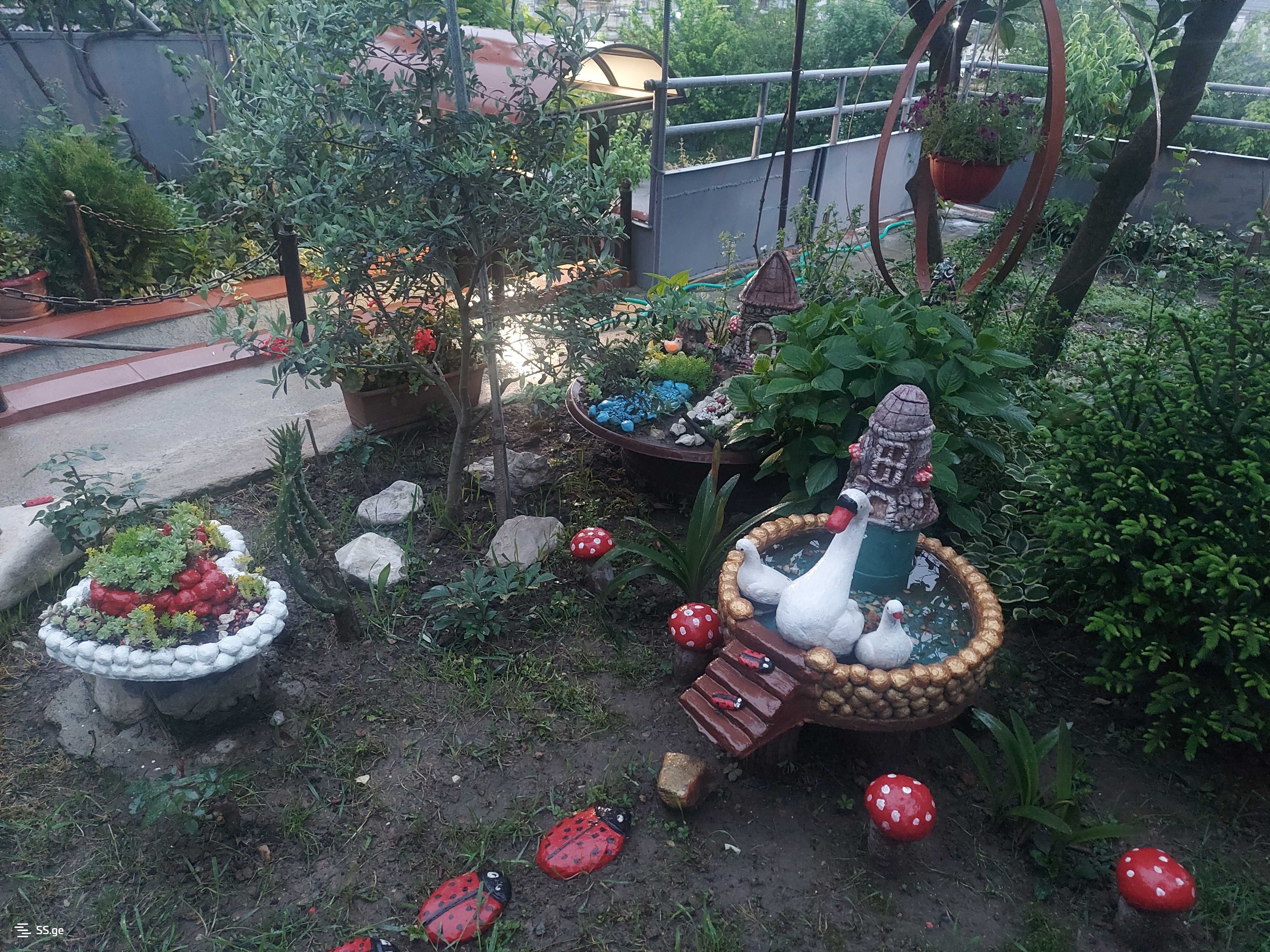 3 Room Private House Daily Rent. Kutaisi view 3