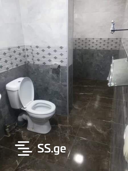 4 Room Private House For Rent. Zugdidi view 4