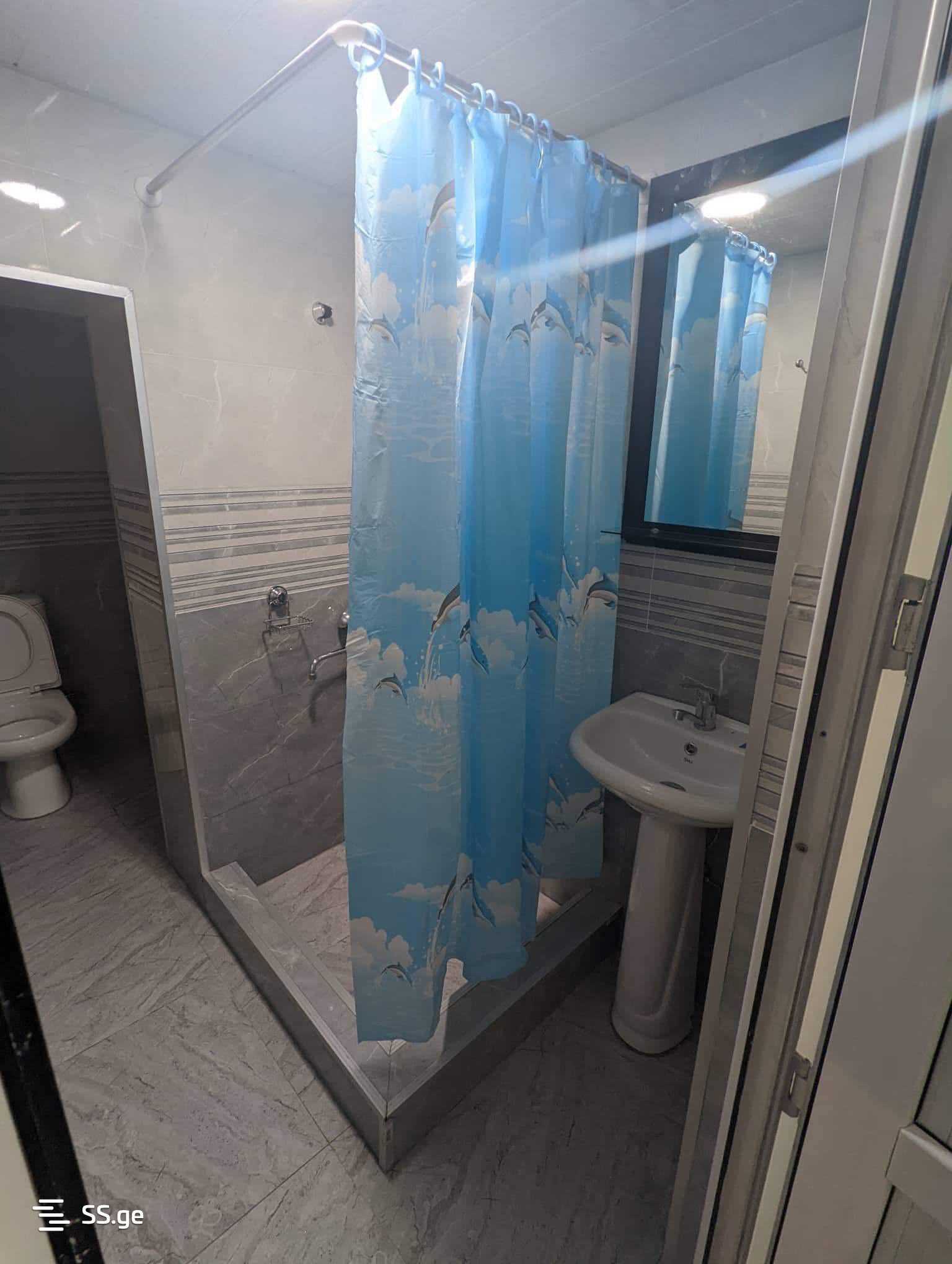 3 Room Private House For Rent. Zugdidi view 3