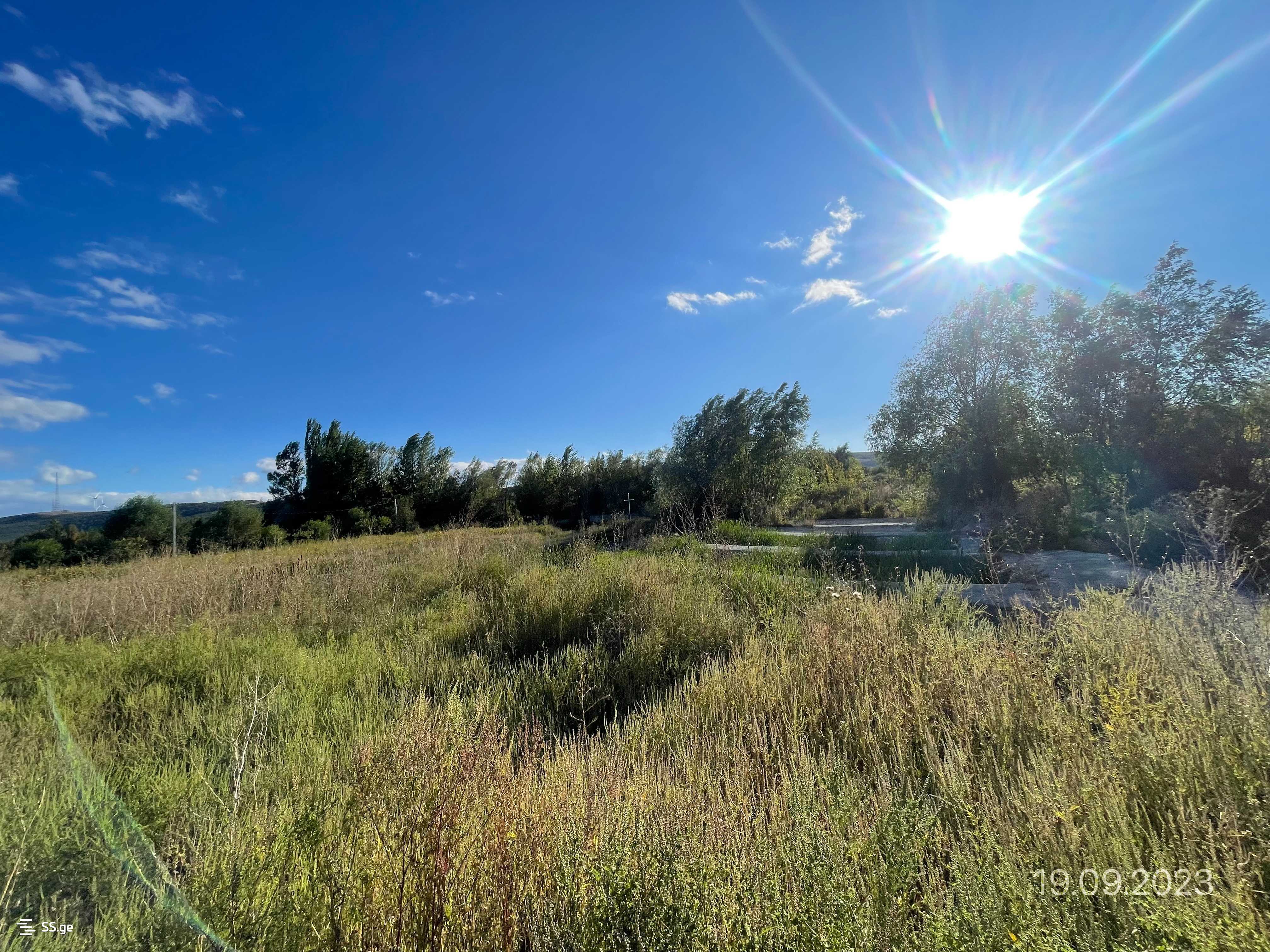 Store-Industrial Property For Sale. Gori, 3 of 4