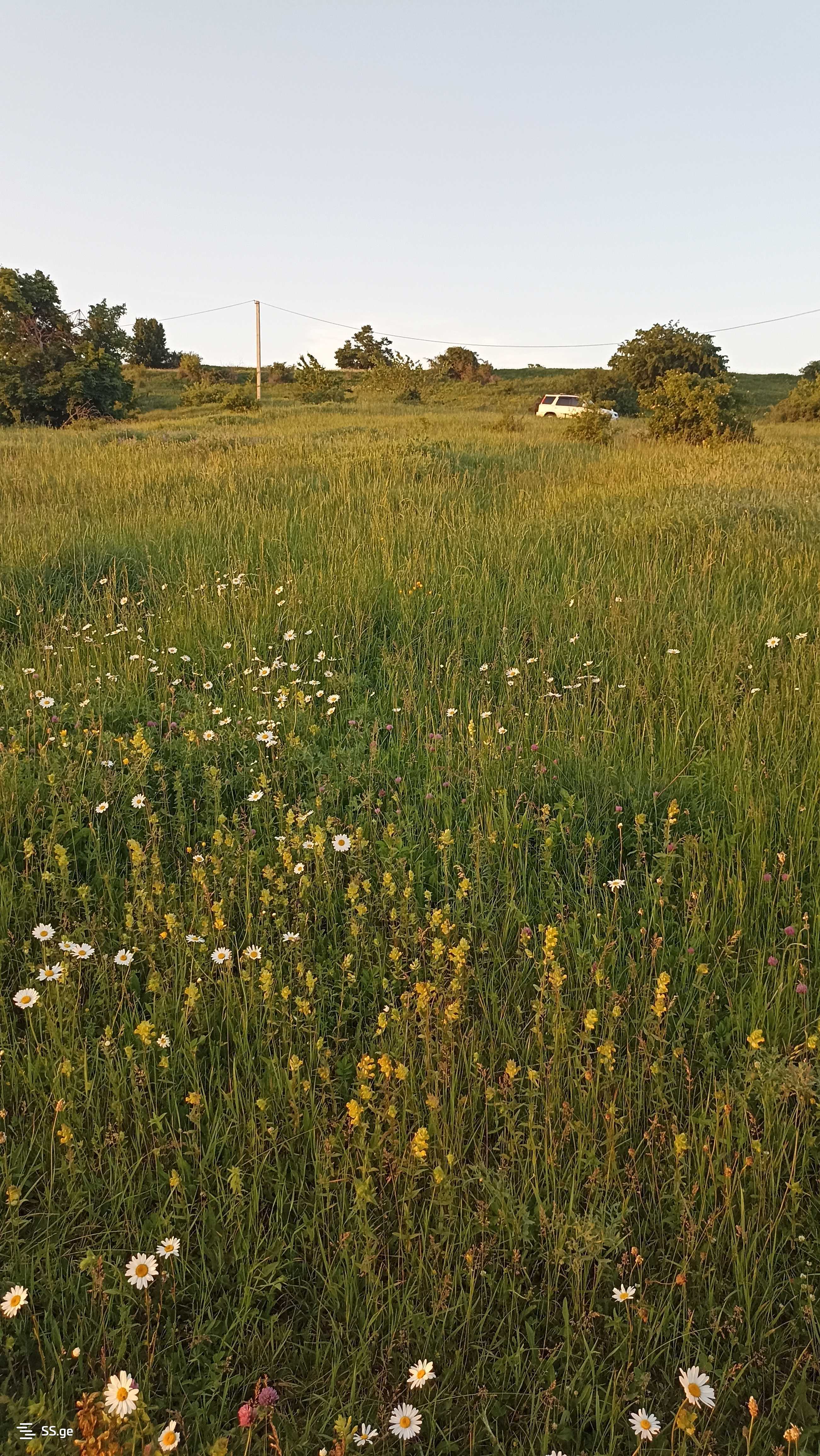 Land For Sale. Orbeti view 3