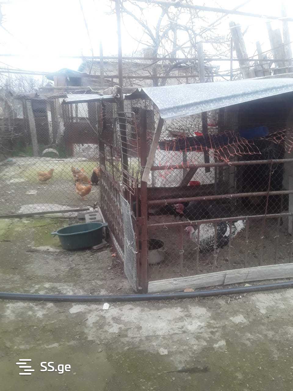 3 Room Private House For Sale view 8