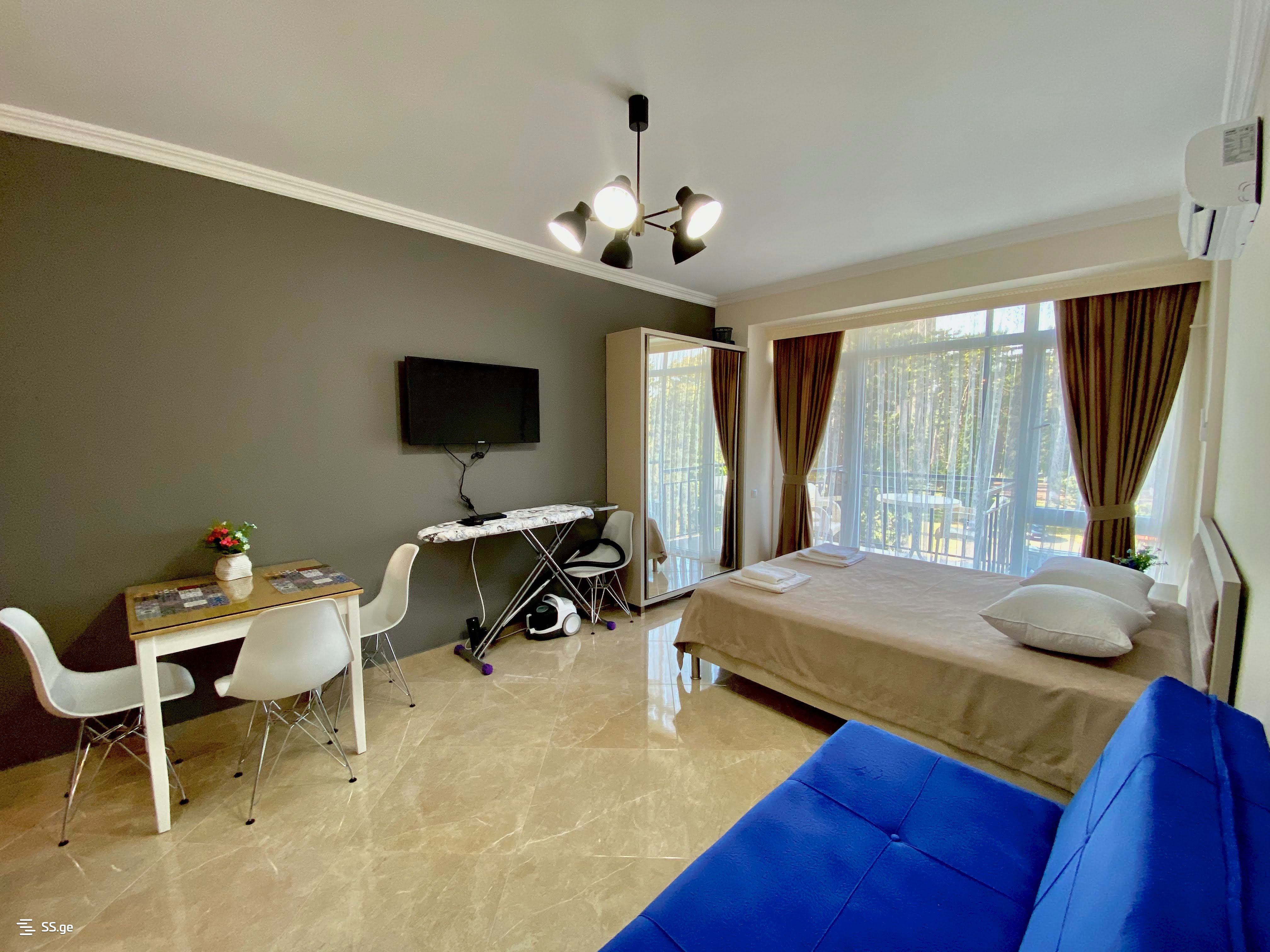 1 Room Flat Daily Rent. Kobuleti, 4 of 12
