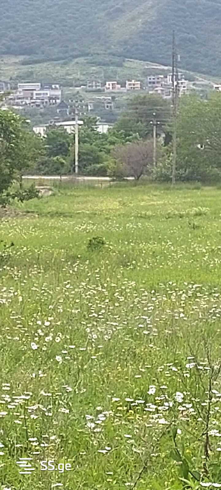 Land For Sale. Saguramo