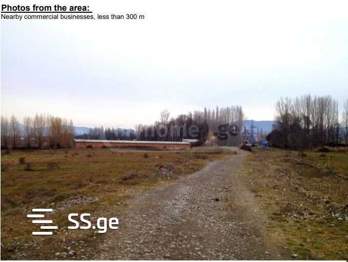 Land For Sale. Tserovani view 7