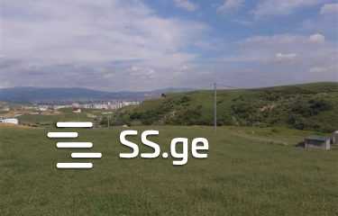 იყიდება მიწის ნაკვეთი დიდ დიღომში