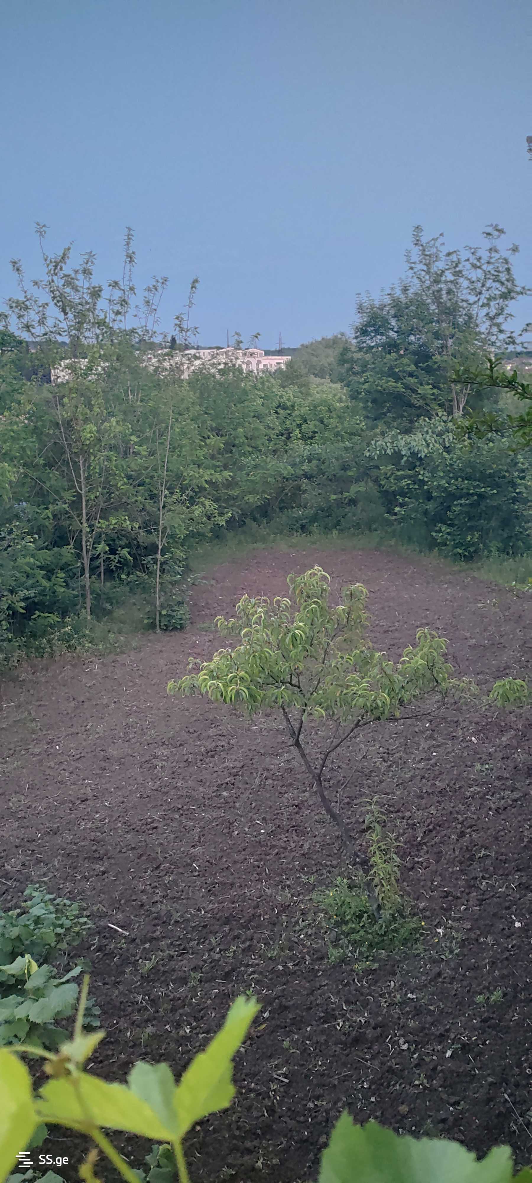 იყიდება Private House წყალტუბოში view 5
