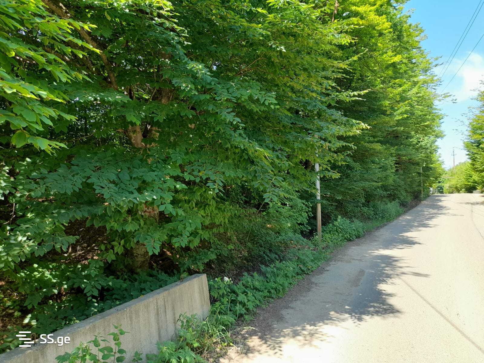 Land For Sale. Betania view 5