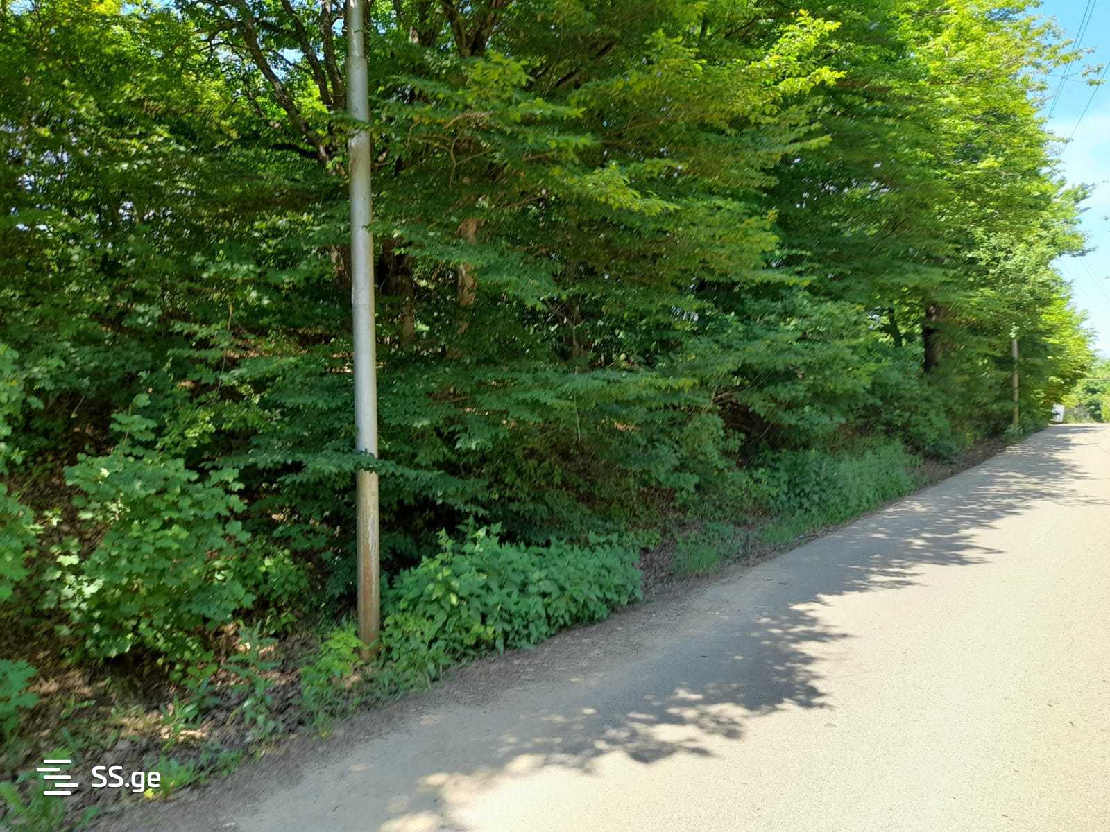 Land For Sale. Betania view 3