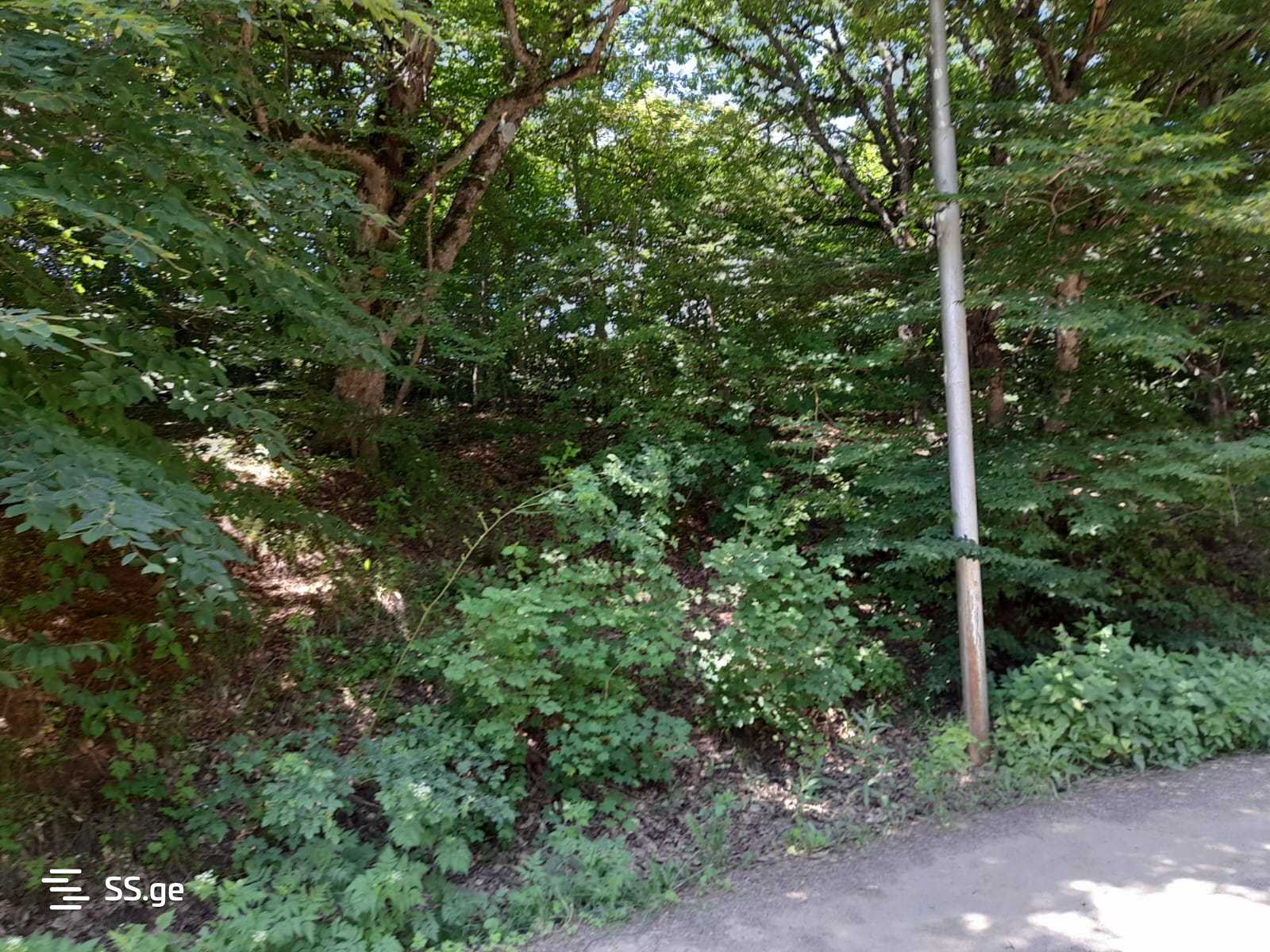 Land For Sale. Betania view 10