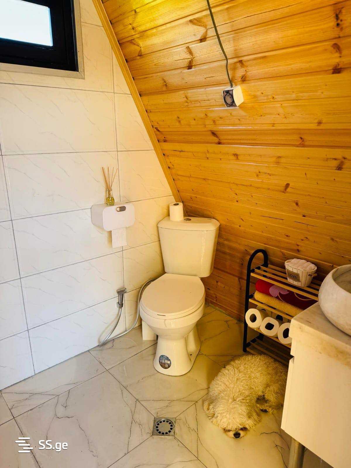 2 Room Summer Cottage Daily Rent. Bazaleti view 7