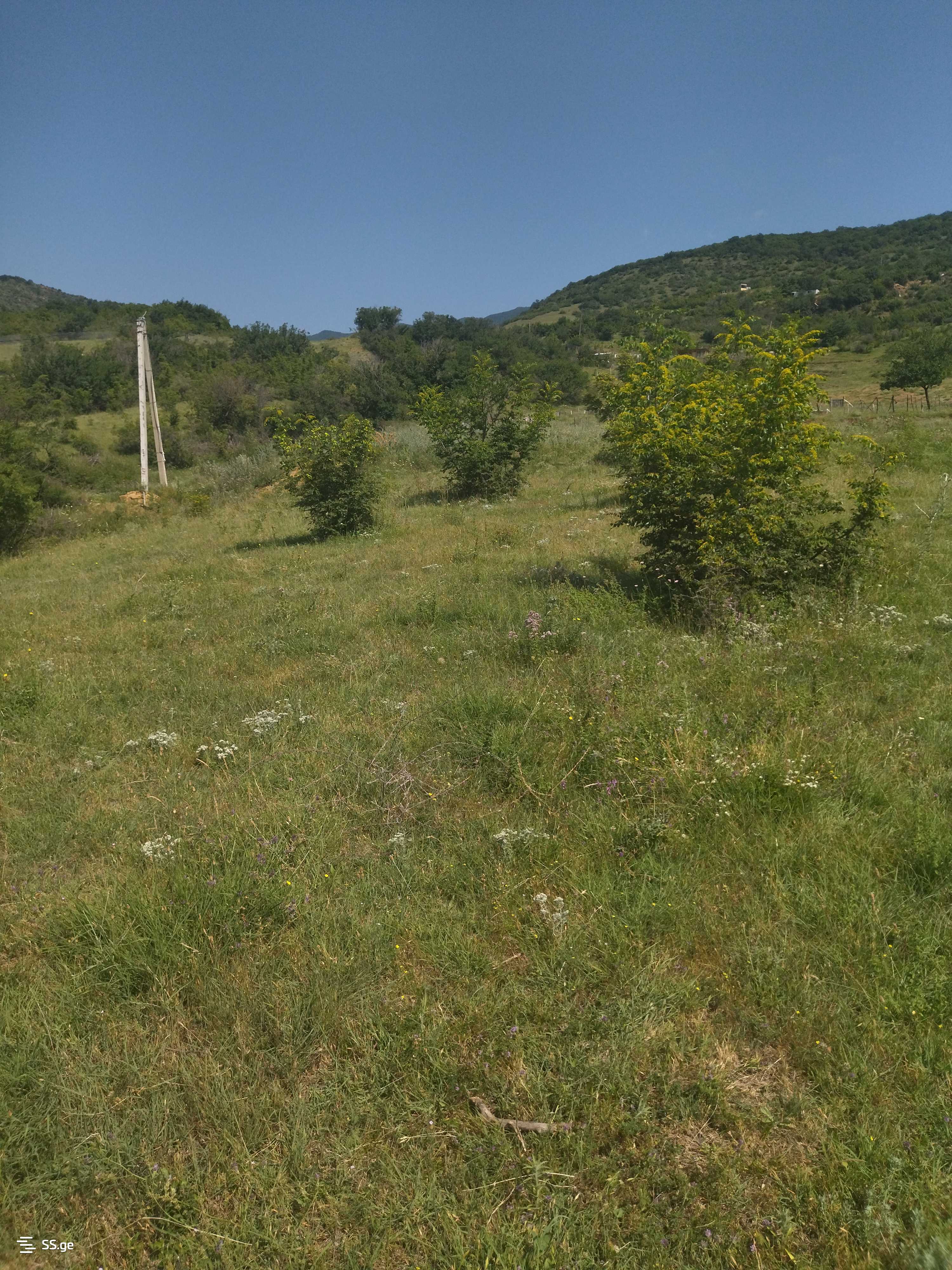 Land For Sale. Mamkoda view 10