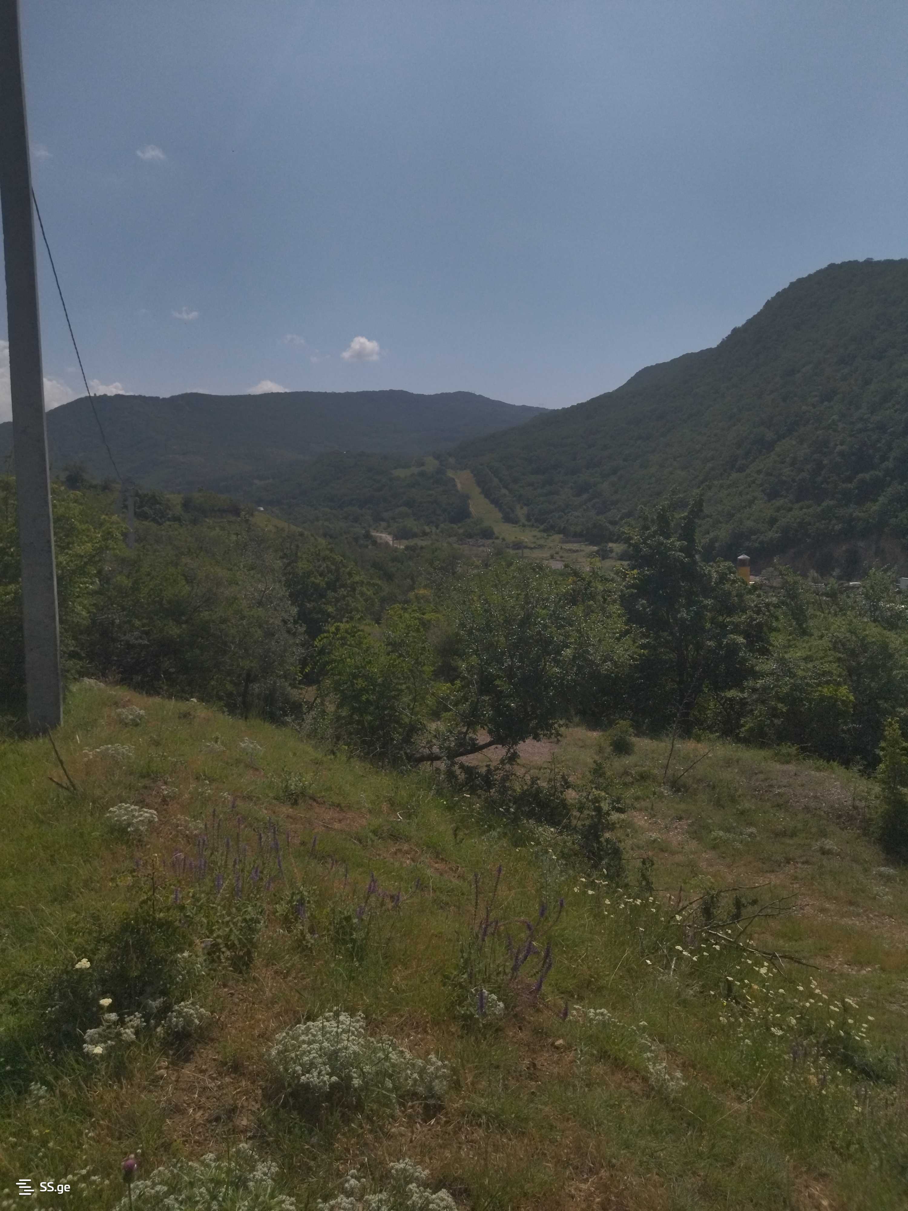 Land For Sale. Mamkoda view 5