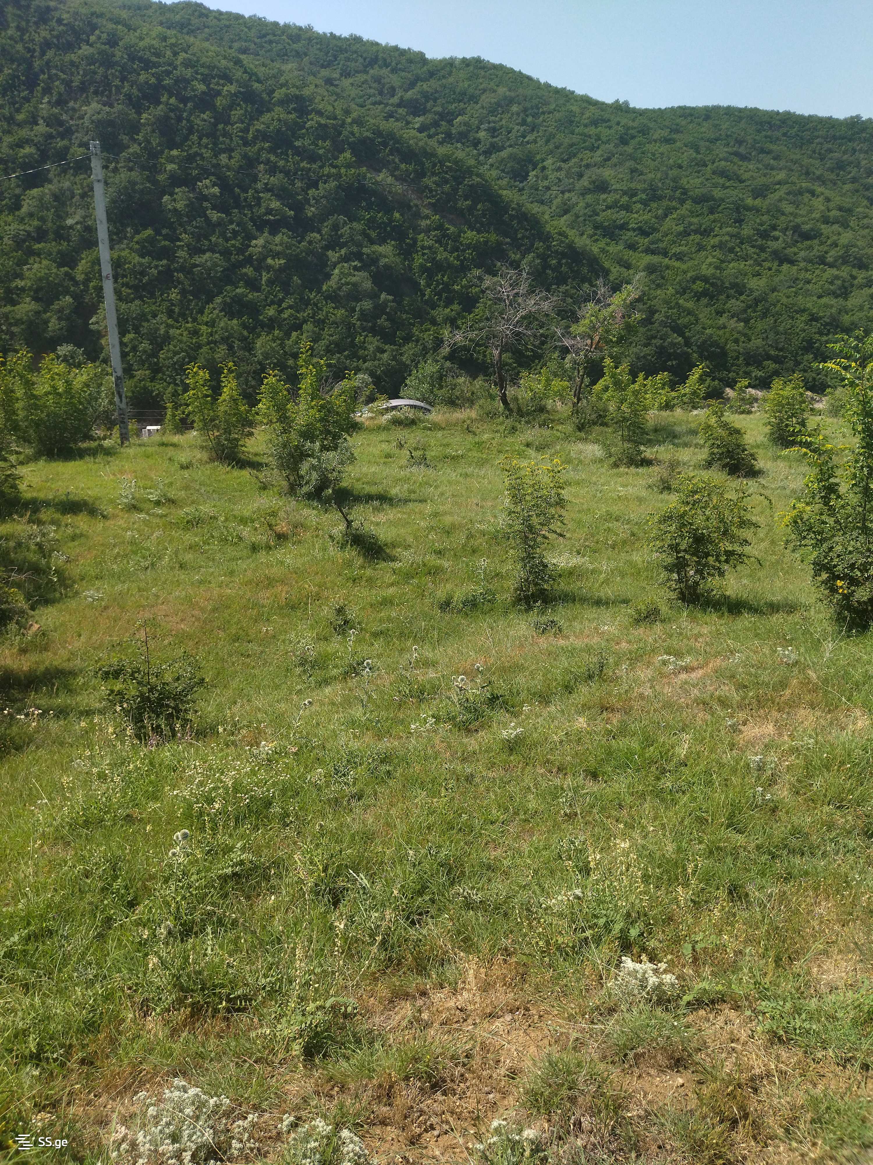 Land For Sale. Mamkoda view 12