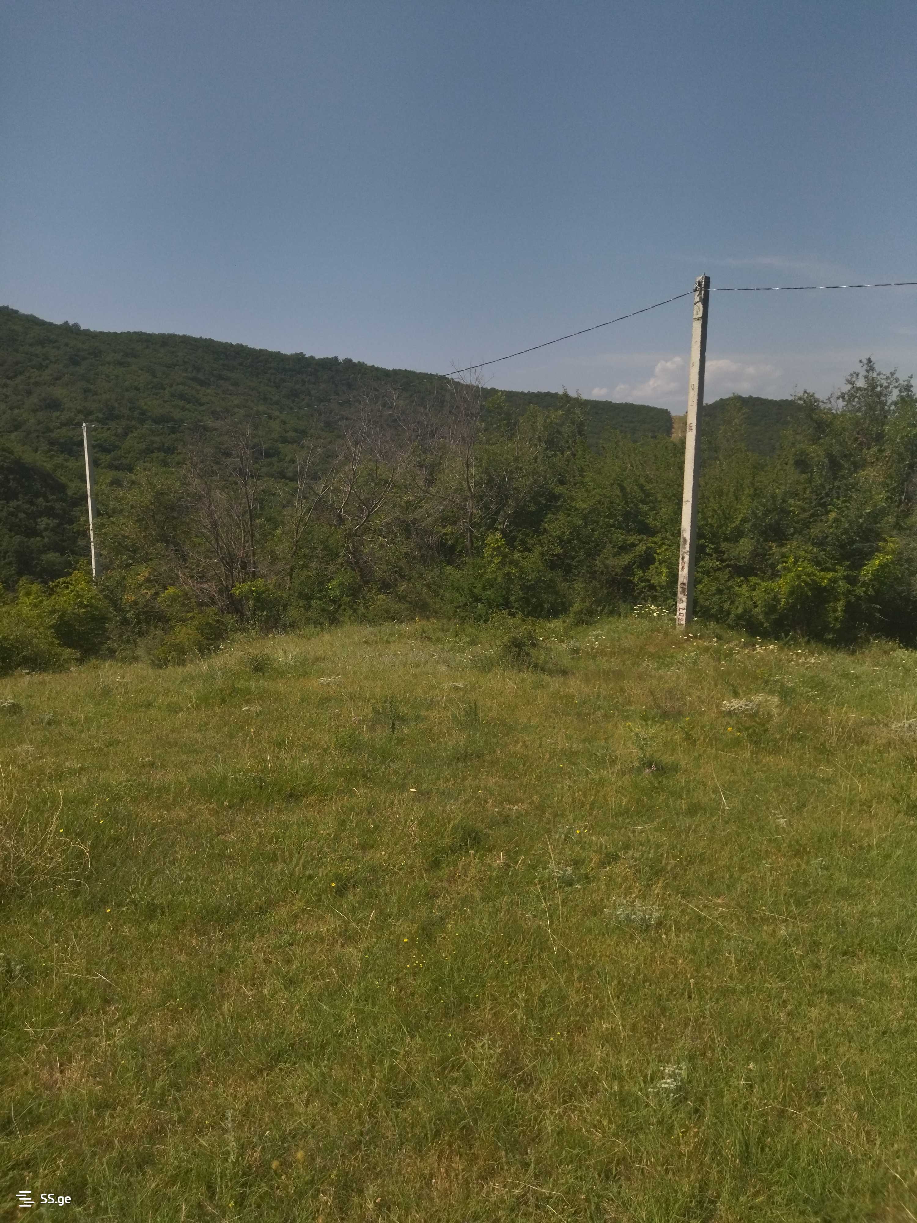 Land For Sale. Mamkoda view 7