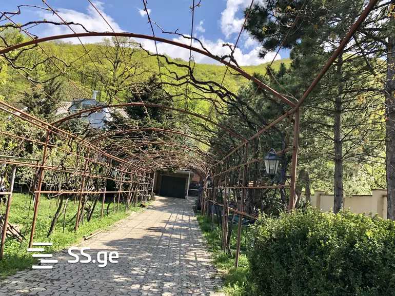 10 Room Summer Cottage Daily Rent. Gori view 5