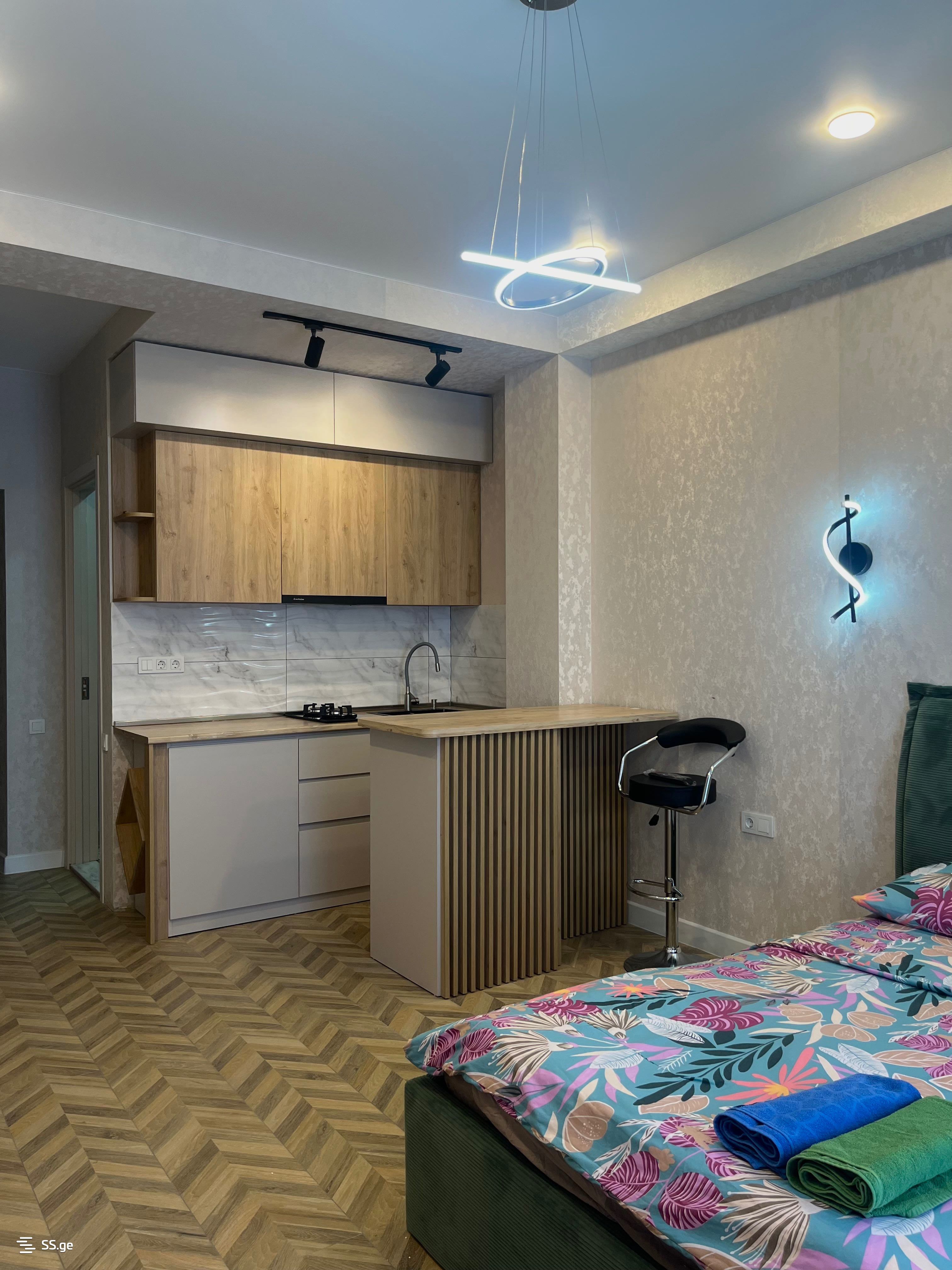 1 room Flat Daily rent. Didi digomi - Ansicht 6