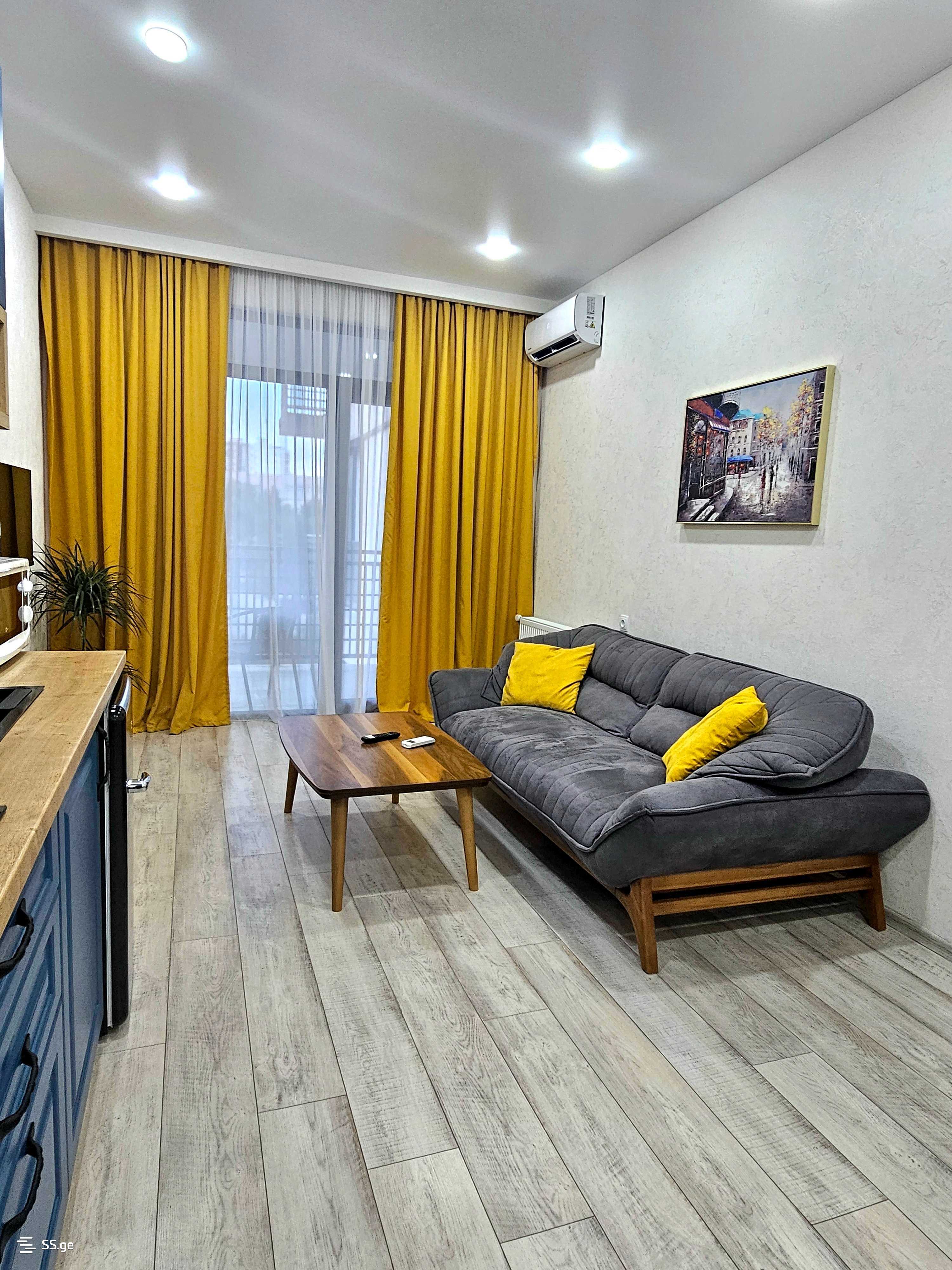 2 Room Flat Daily Rent. Vazisubani view 3
