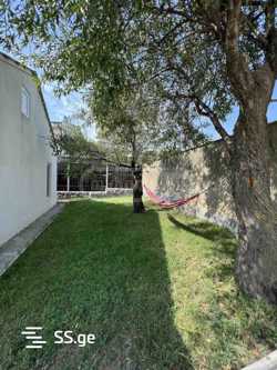 https://static.ss.ge/20240627/4_a0f4892b-2484-4e9a-928a-52ea3cc05c14_Thumb.jpg